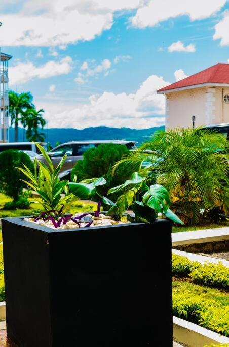 Falcon Islandview - Airport Pickup Available - 24Security Montego Bay Exterior foto
